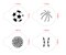 Small Sports Ball Cookie Stencils: Basketball, Golf, Soccer, Baseball | C219 by Designer Stencils |
